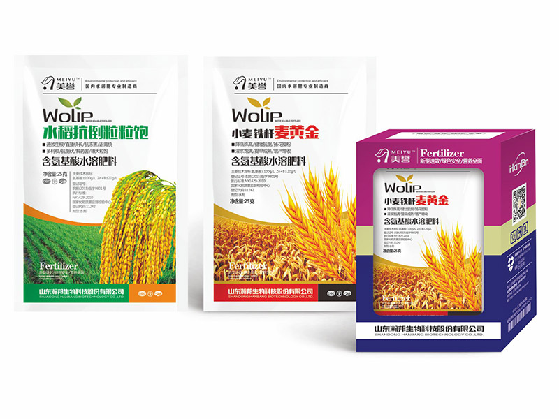 小麥鐵稈麥黃金